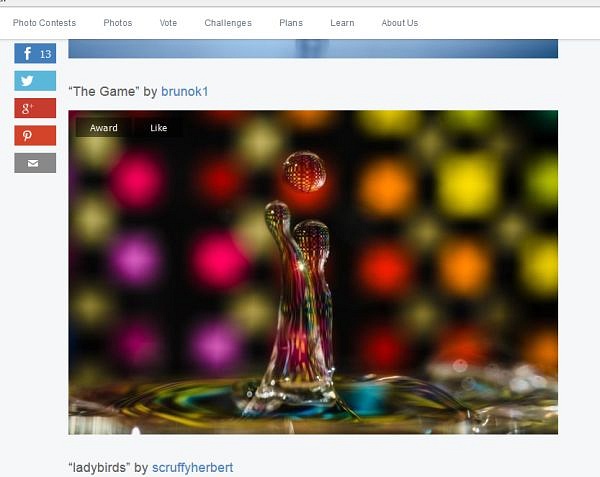 viewbug.jpg
