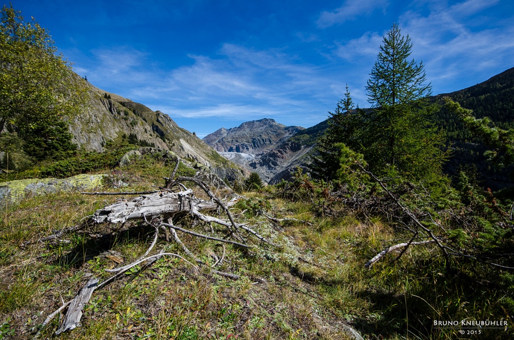 Aletschgletscher