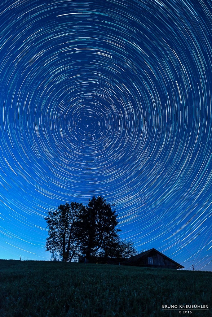 Trails over Trees