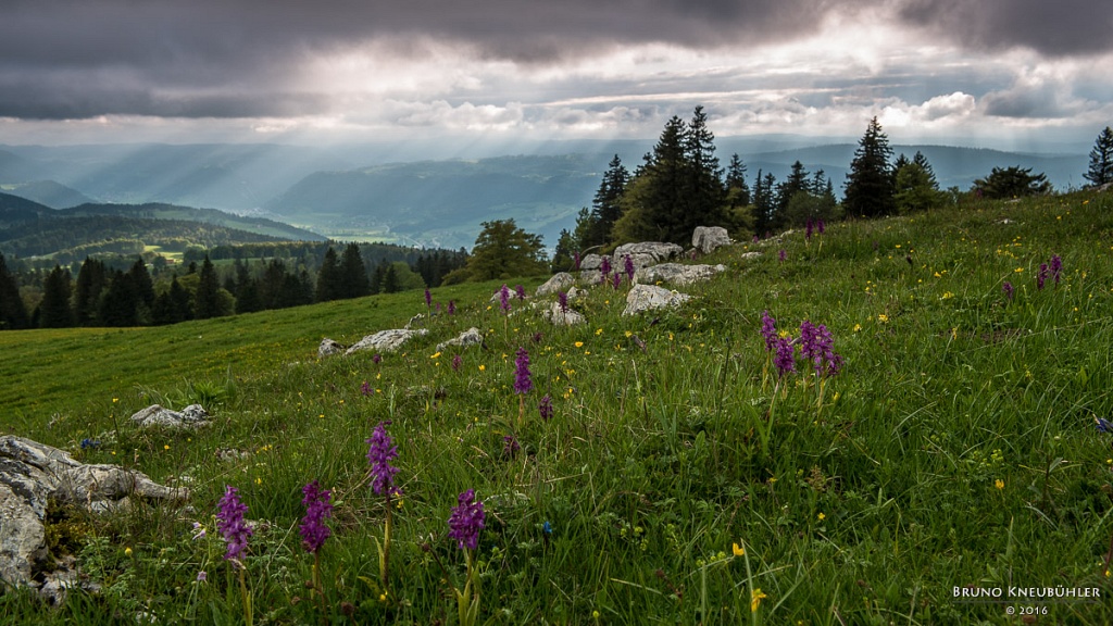 Val de Travers