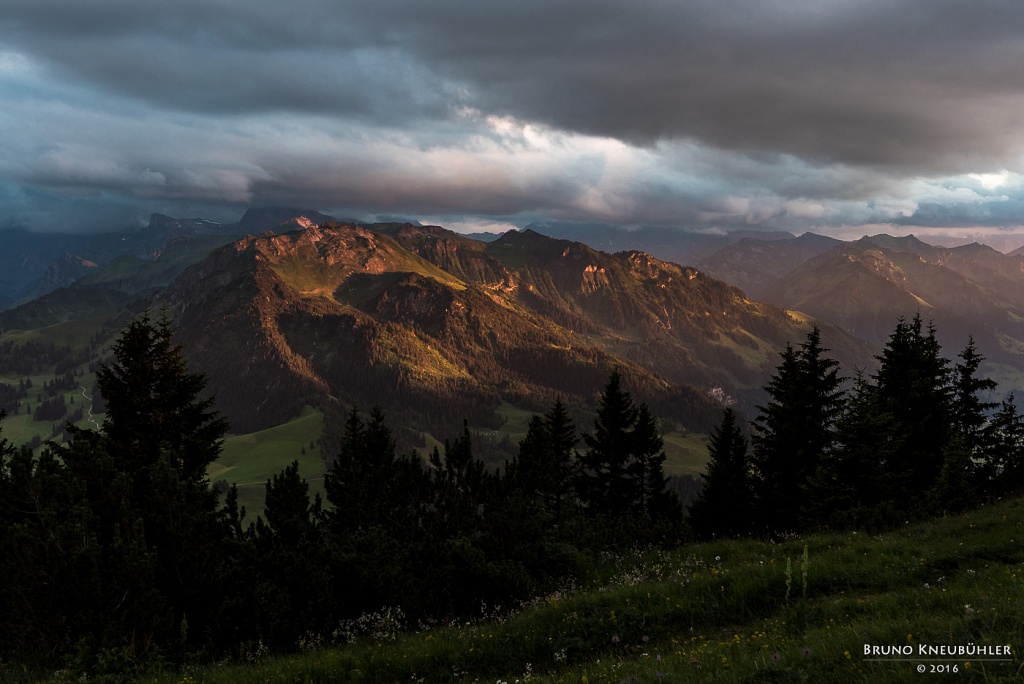 Abendlicht