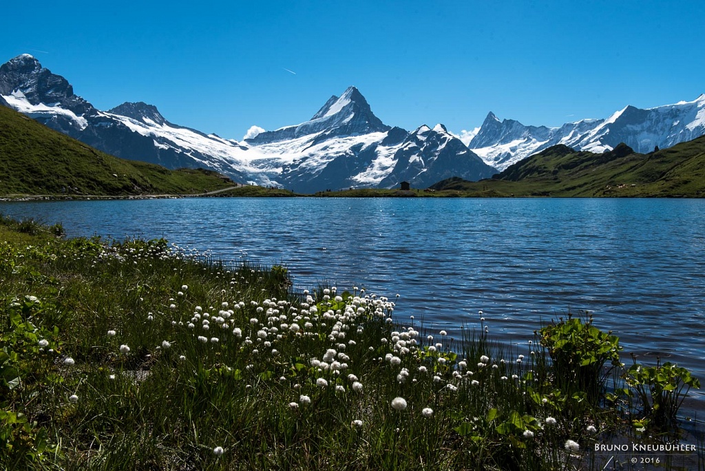 Bachalpsee